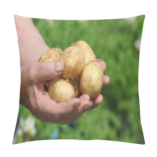 Personality  Female Handful Of New Potatoes In Garden Pillow Covers