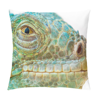 Personality  One Green Iguana Pillow Covers