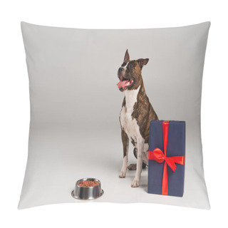 Personality  Purebred Staffordshire Bull Terrier Sitting Near Wrapped Gift Box And Bowl With Pet Food On Grey  Pillow Covers