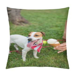 Personality  Cropped View Of Young Woman Giving Ice Cream To Dog In American Flag Bandana Pillow Covers