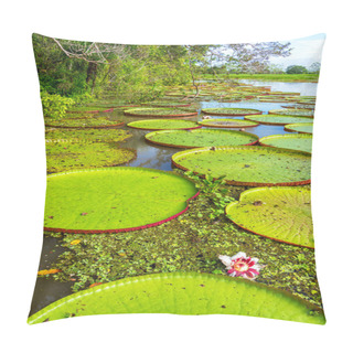 Personality  Victoria Amazonica Plants Pillow Covers