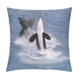 Personality  Killer Whales Jumping Out Of Water Pillow Covers