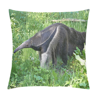 Personality  Giant Anteater (Myrmecophaga Tridactyla) Pillow Covers
