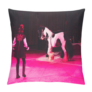 Personality  KYIV, UKRAINE - NOVEMBER 1, 2019: Back View Of Handler Performing With Horses In Circus  Pillow Covers