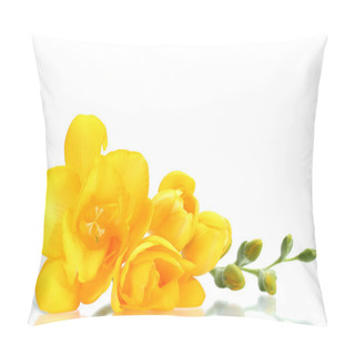 Personality  Beautiful Yellow Freesia Isolated On White Pillow Covers