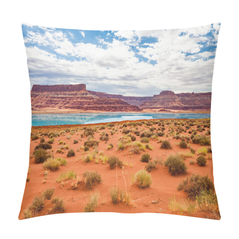 Personality  Canyonlands National Park, Utah, USA Pillow Covers