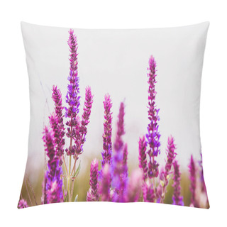Personality  Sage Salvia Plant Purple Flower Garden Nature Leaf Green Blossom Pillow Covers