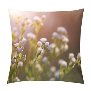 Personality  Meadow Daisies Flowers Blooming In Sunny Day. Pillow Covers