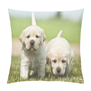 Personality  Two Nice Puppies Pillow Covers