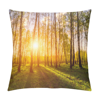 Personality  Sunset Or Dawn In A Spring Birch Forest With Bright Young Foliage Glowing In The Rays Of The Sun And Shadows From Trees. Pillow Covers
