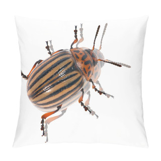 Personality  Colorado Potato Beetle With Reflection Pillow Covers