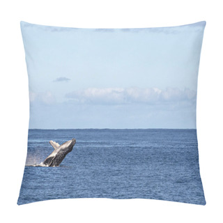 Personality  Humback Whale Calf Breaching In Polynesia Pillow Covers