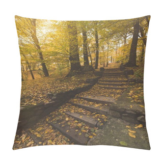 Personality  Stairs At Autumn Park Pillow Covers