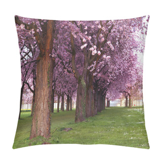 Personality  Spring Cherry Tree Flowers Bloom Pillow Covers