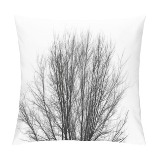 Personality  Bare Branches Of A Tree On A White Background Pillow Covers