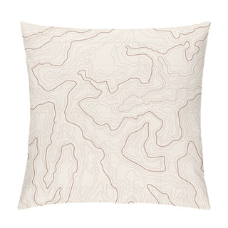 Personality  Topographic Map Background Pillow Covers