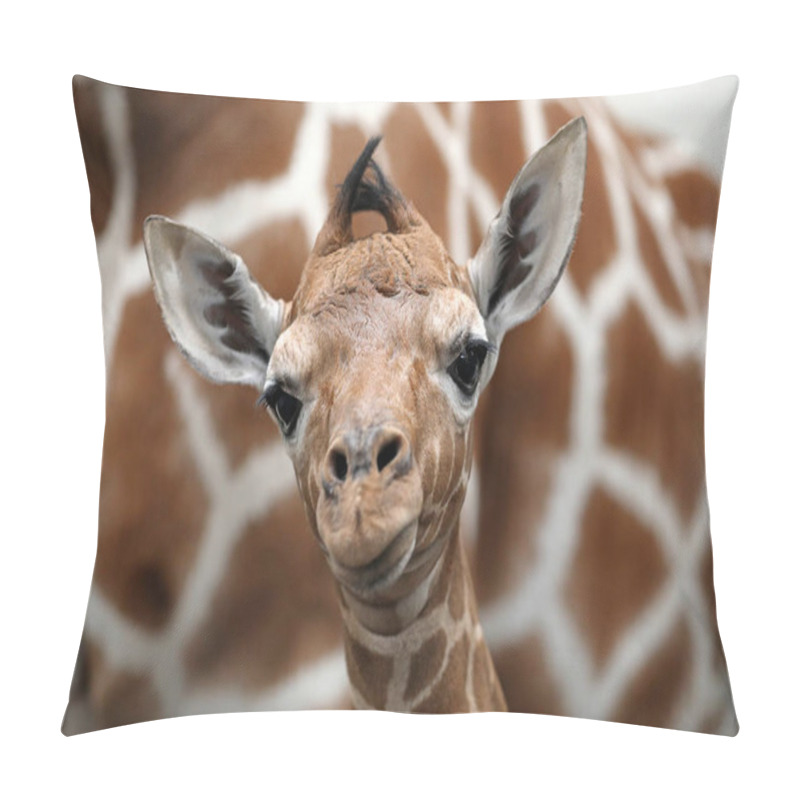 Personality  Baby Giraffe With Mother In Wild Nature Pillow Covers