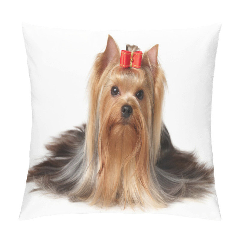 Personality  Yorkshire terrier pillow covers