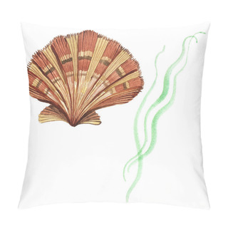 Personality  Seashell And Seaweed Tropical Elements Isolated On White. Watercolor Background Illustration Set.  Pillow Covers
