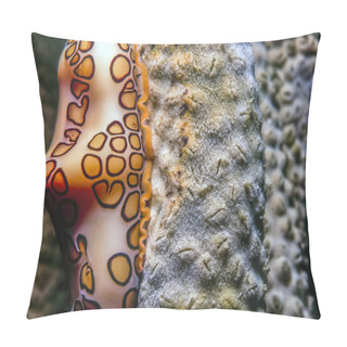 Personality  Underwater Coral Reef Pillow Covers