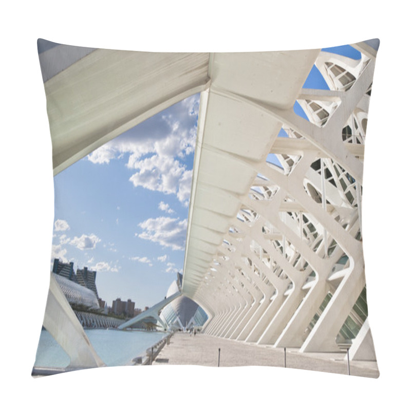 Personality  The City Of Arts And Sciences Pillow Covers