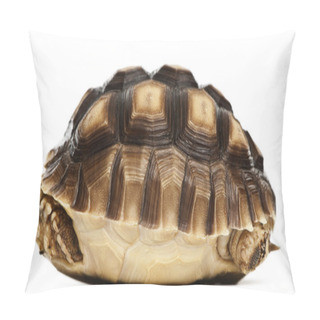 Personality  African Spurred Tortoise, Geochelone Sulcata, 1 Year Old, In Front Of White Background Pillow Covers