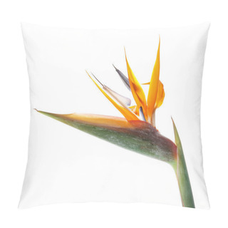 Personality  Beautiful Bird Of Paradise Flower On White Background. Tropical Plant Pillow Covers