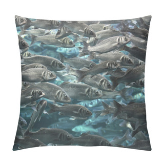 Personality  Large School Of Fish Underwater Pillow Covers
