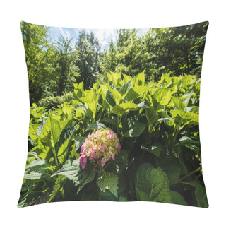 Personality  Selective Focus Of Pink Blooming Flowers Near Green Fresh Leaves In Park  Pillow Covers