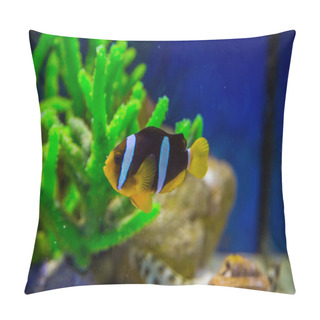 Personality  Tropical Fish With Corals And Algae Pillow Covers