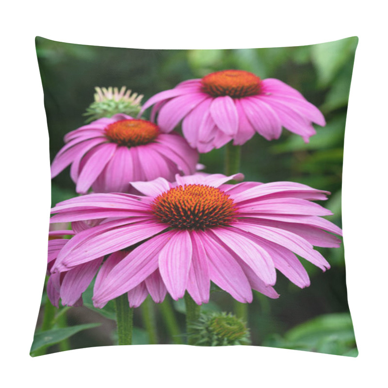 Personality  Coneflower (Echinacea Purpurea), Flowers Of Summer Pillow Covers