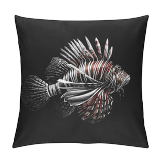 Personality  Tropical Fish. Portrait Of A Lionfish On A Black Background Pillow Covers