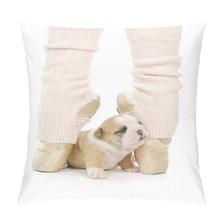 Personality  Dancing Puppy Pillow Covers