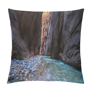 Personality  Beautiful Of Narrow In The Afternoon  In Zion National Park,Utah,usa. Pillow Covers