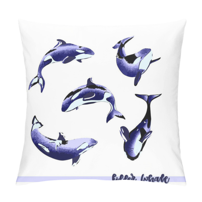 Personality  Vector illustration of  killer whale group. pillow covers