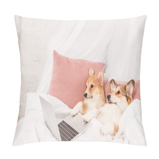 Personality  Pembroke Welsh Corgi Dogs Lying In Bed With Laptop At Home Pillow Covers