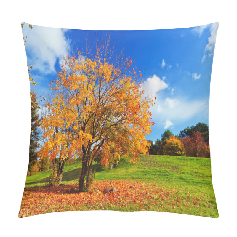 Personality  Autumn, fall landscape. Tree with colorful leaves pillow covers