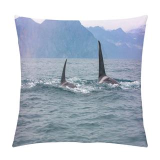 Personality  The Pair Of Transient Killer Whales Travel Through The Waters Pillow Covers