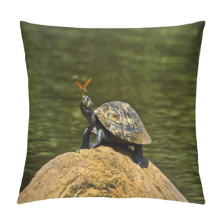 Personality  Turtle In Amazon Rainforest, Yasuni National Park, Ecuador Pillow Covers