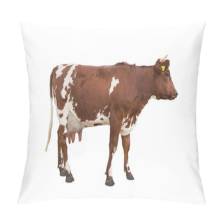 Personality  Spotted Cow Isolated On White Background Pillow Covers