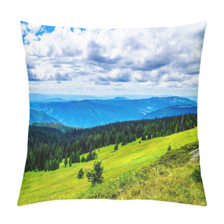 Personality  Pine Beetle Affected Forest In The Shuswap Highlands Pillow Covers