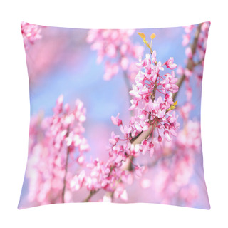 Personality  Spring Flowers. Purple Cercis Canadensis Or Eastern Redbud Bloss Pillow Covers