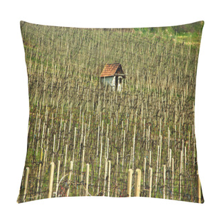 Personality  Old Cottage House In Vineyards Pillow Covers