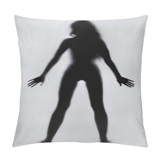 Personality  Silhouette Of A Naked Woman Pillow Covers