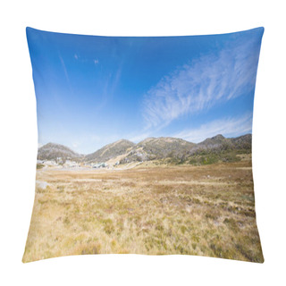 Personality  Perisher Valley In Summer Pillow Covers