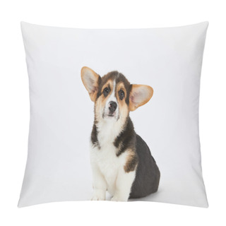 Personality  Cute Welsh Corgi Puppy On White Background Pillow Covers