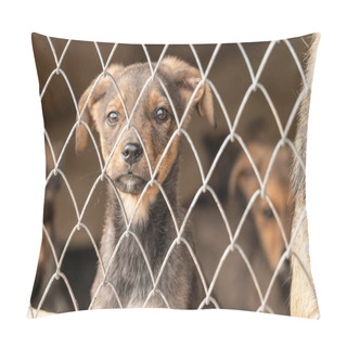 Personality  Homeless Dog In A Shelter For Dogs Pillow Covers