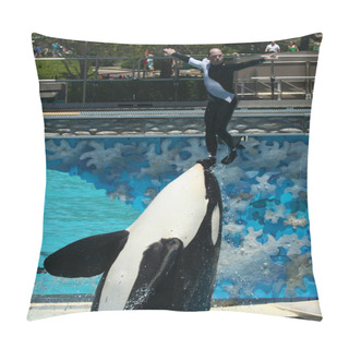 Personality  A Trainer Is Lifted On An Orca's Nose Pillow Covers