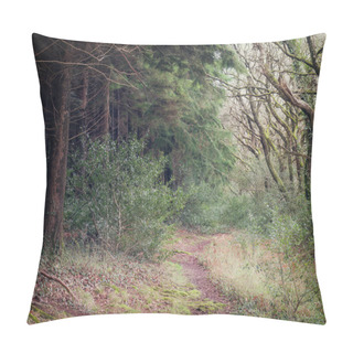 Personality  Twisted Trees In The Wood At Ladock Cornwall England Uk  Pillow Covers
