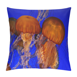 Personality  Sea Nettle Jellyfish Pillow Covers